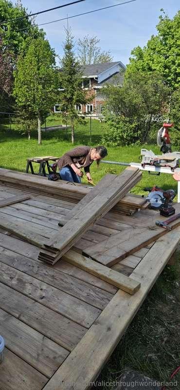 alicethroughwonderland image #0