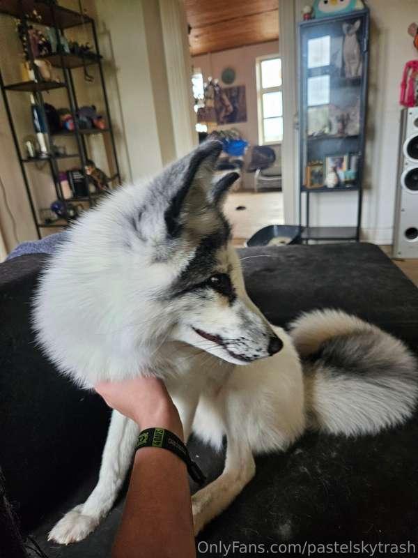 I just love him so much 