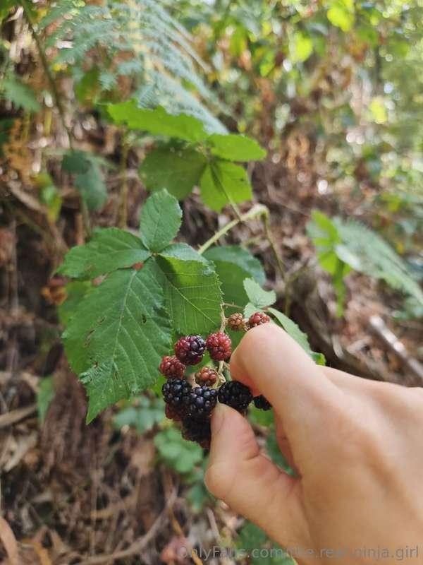 the.real.ninja.girl image #2