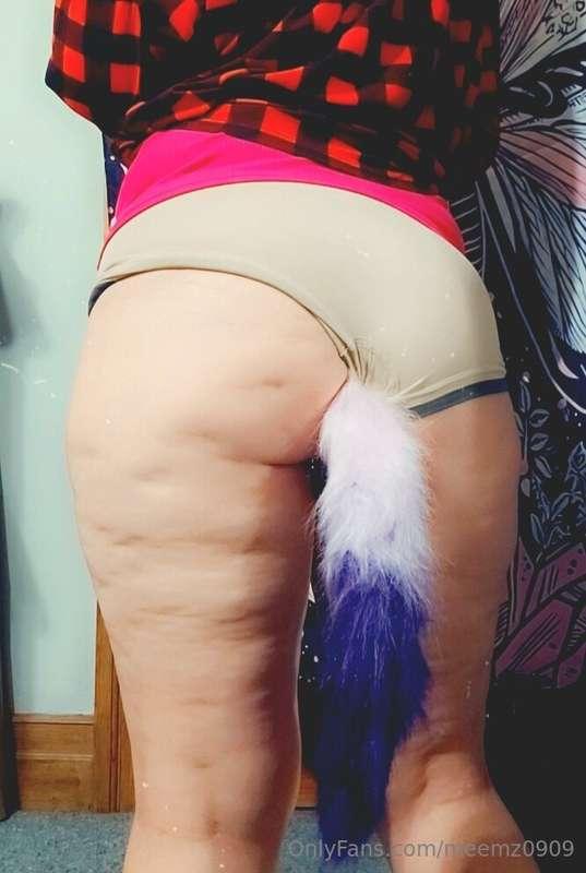 Do you like my new tail my fan got me?