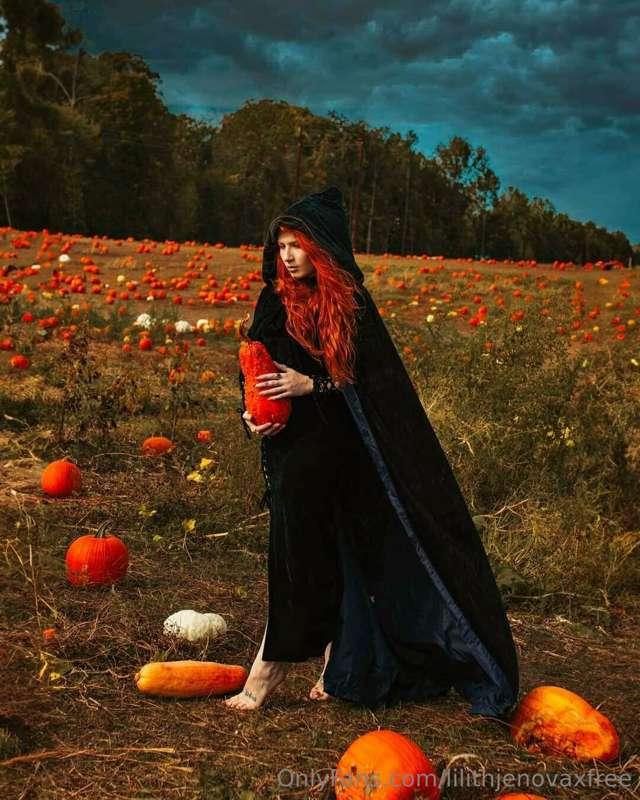 Happy Halloween! 🎃

Wonderless Photography