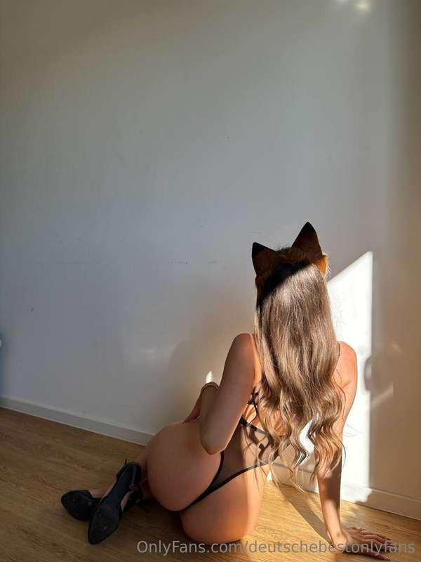 @kinkyfoxiHey, du ….😏 Ich bin Foxi, 27🦊  – deine kleine verf..