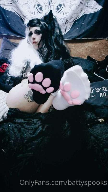 New set ^-^ meow. Trying to earn money to get my tooth fixed..