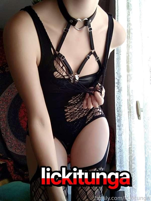 lickitunga image #4