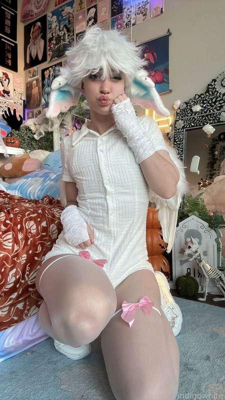 indigowhite image #47