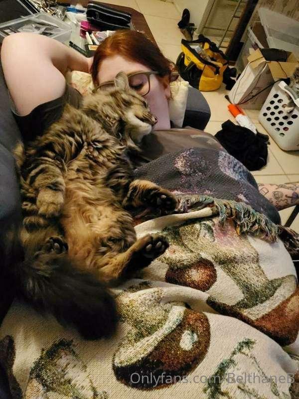 Cozy life