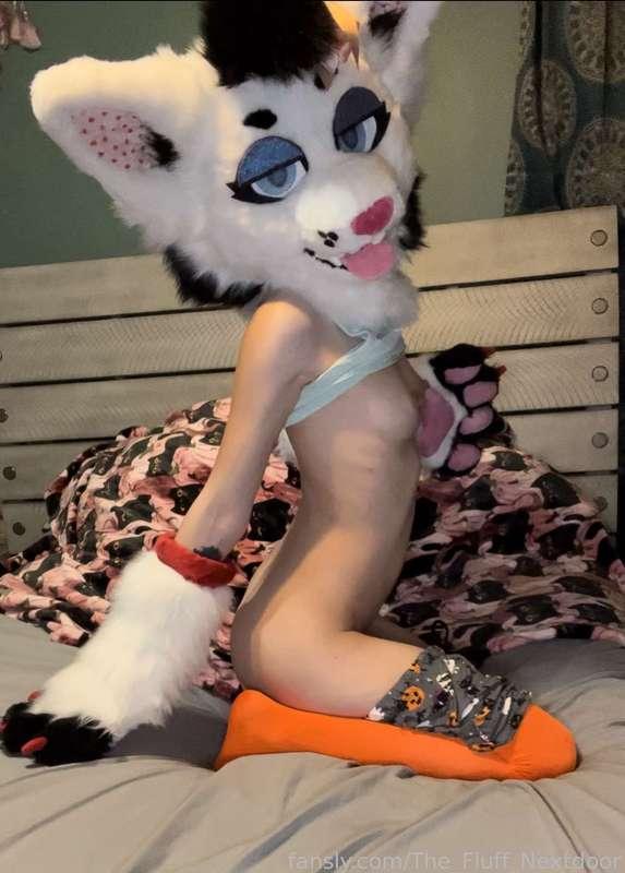 the_fluff_nextdoor image #9