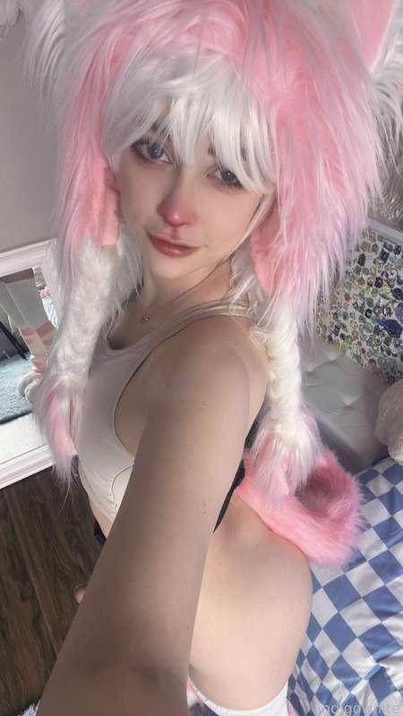 indigowhite image #251