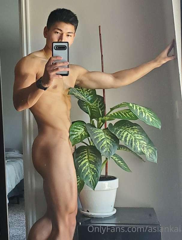 Plant daddy