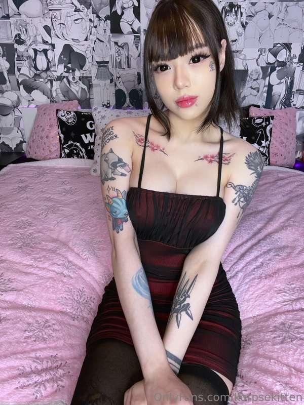 korpsekitten image #2