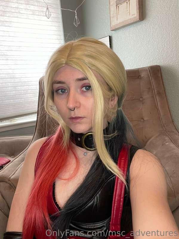 msc_adventures image #2