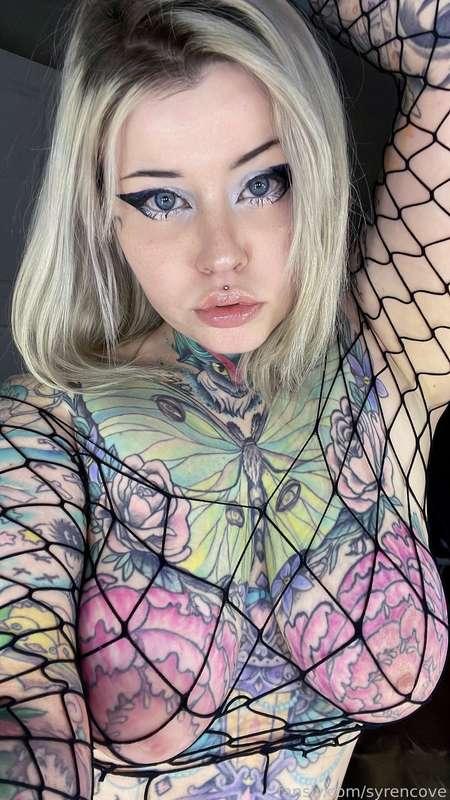 Hi ok I’ll post more