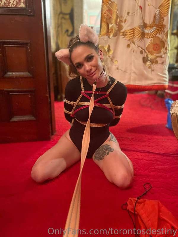 I was such a good kitty at the play party.