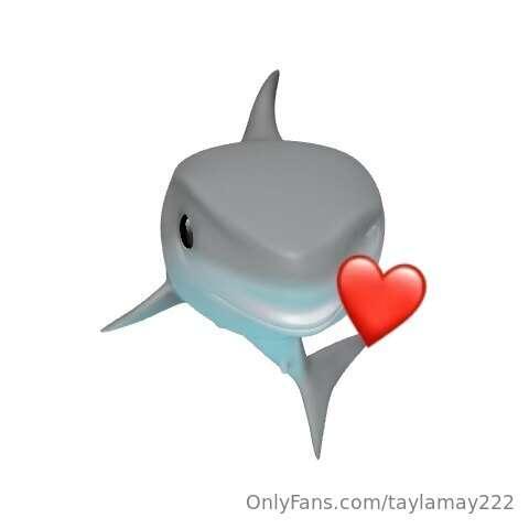 taylamay222 image #0