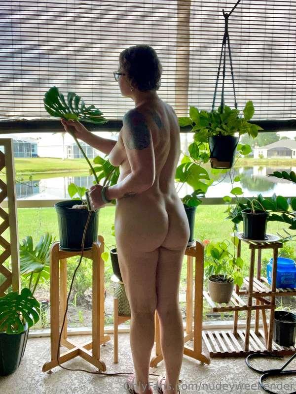 I admire, you admire, we all admire nature's beauty.