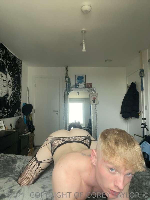 You get home from work and see me waiting like this… what do..