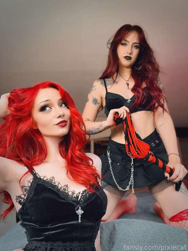 pixiecat image #13