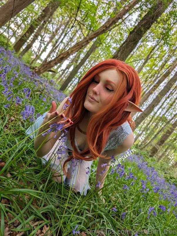 Just a little elf in the woods~
