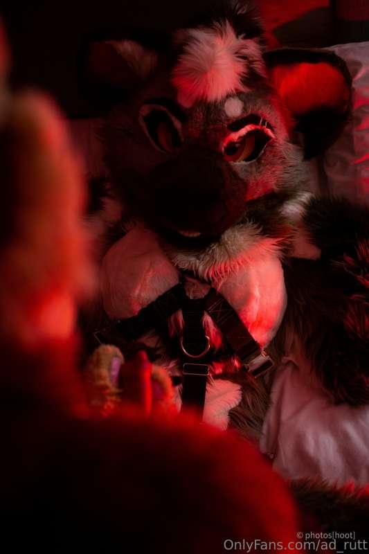 ad_rutt image #3