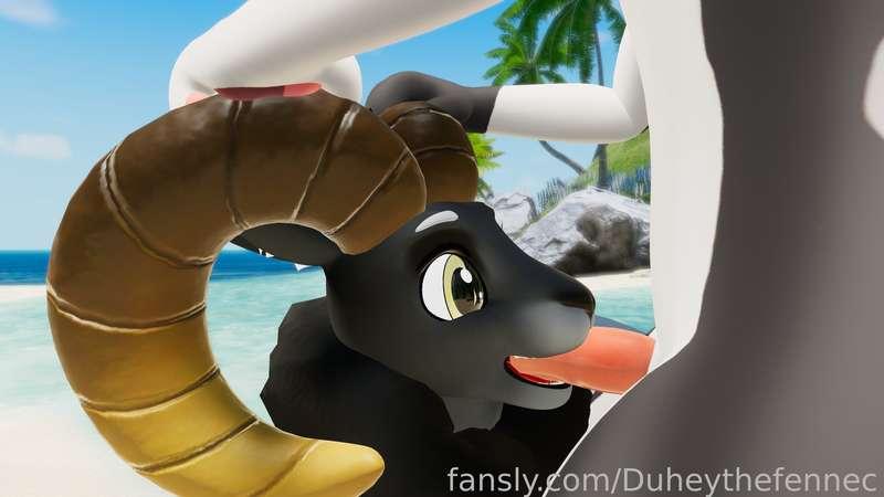 duheythefennec image #4