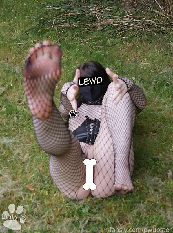 pwupster image #7