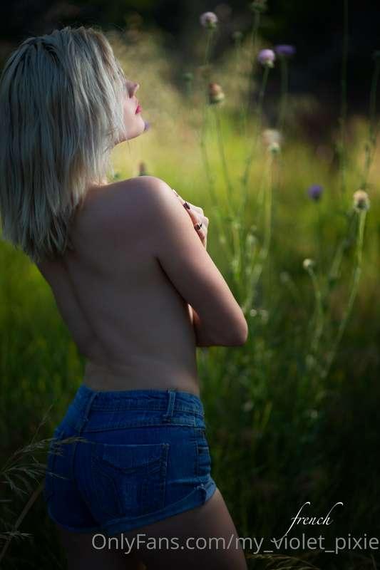 my_violet_pixie image #2
