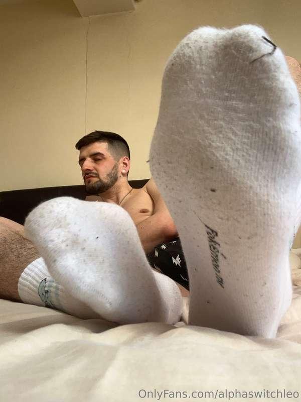 alphaswitchleo image #8