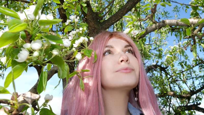 Apple tree [Photo 16]
