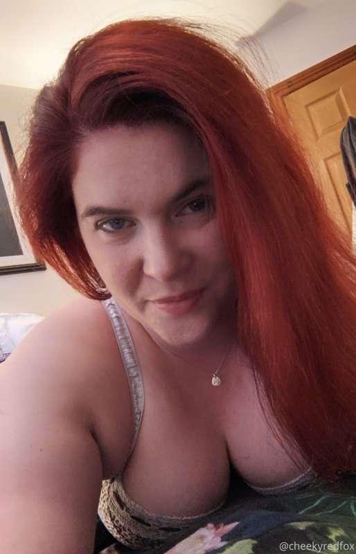 cheekyredfox image #2