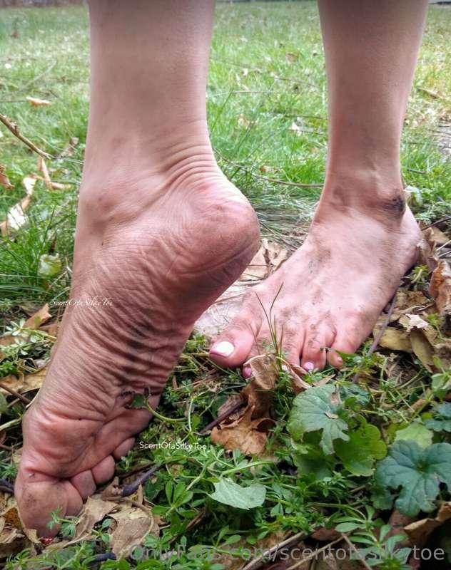 🍃 Plenty of wrinkles for you to clean off before the snow st..
