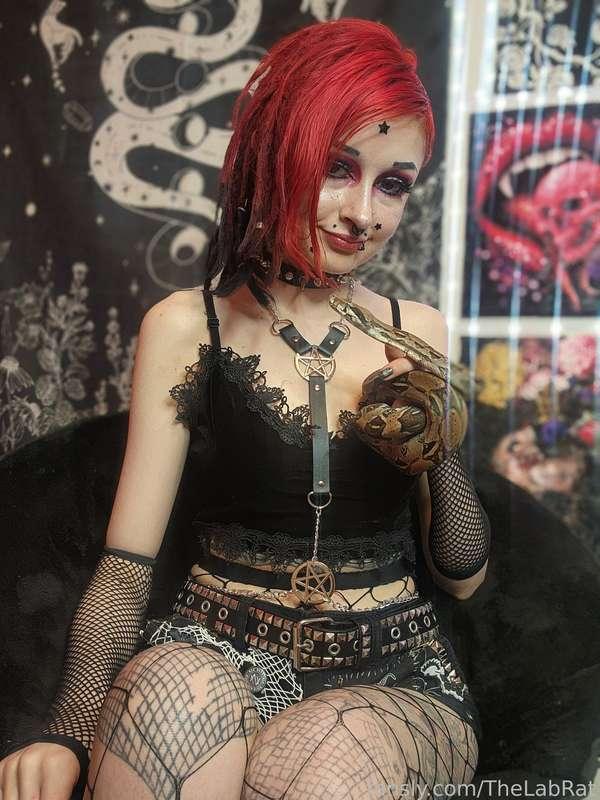 thelabrat image #2