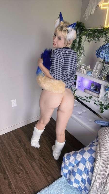 indigowhite image #114