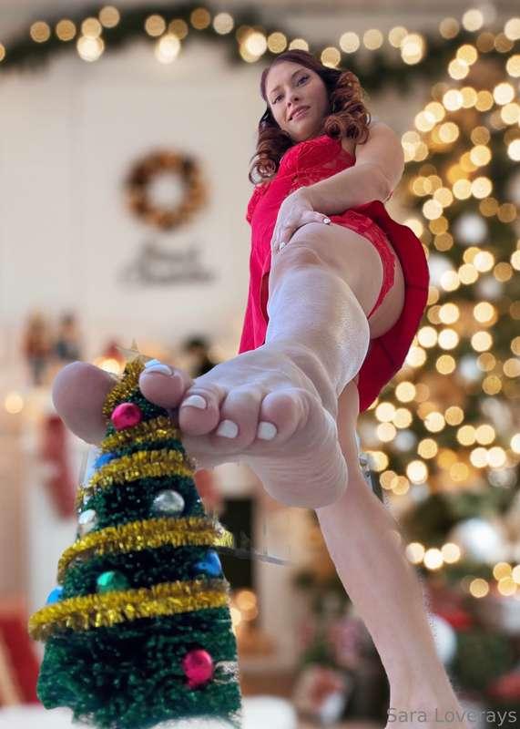 My tiny loves!! Here you’ll find 5 lovely festive photos wit..