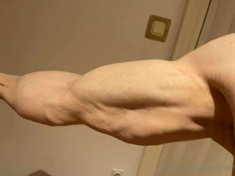 armzbro97 main image