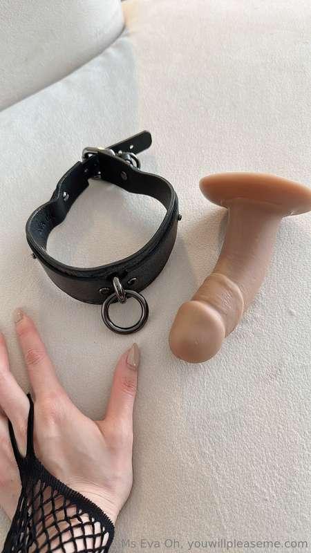 This dildo is about to take you to your limits.🍆 Think you c..