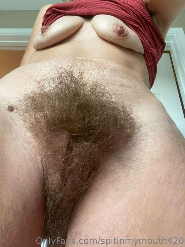 Can there ever be too much bush contenr??