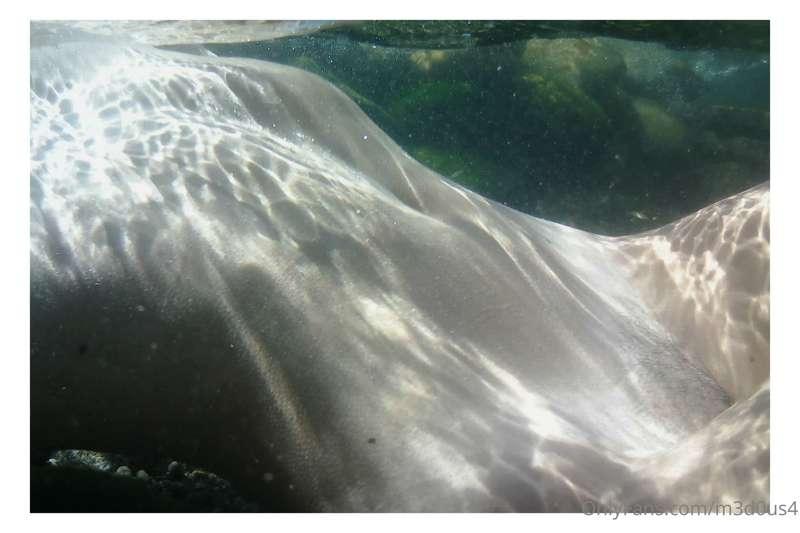 in fondo al mar 🎶
(non proprio ma va bene così)