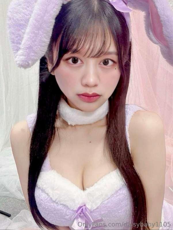 🐰