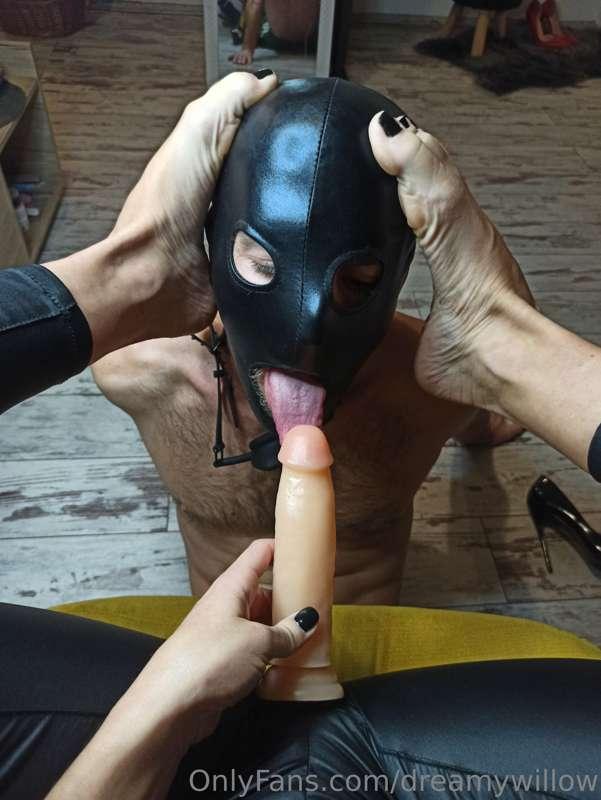 dreamywillow image #1