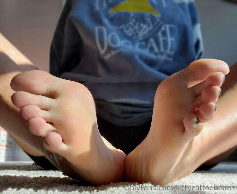 Would you kiss me from head to toe?