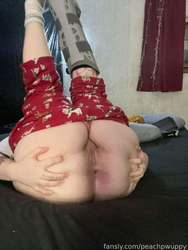 peachpwuppy image #5