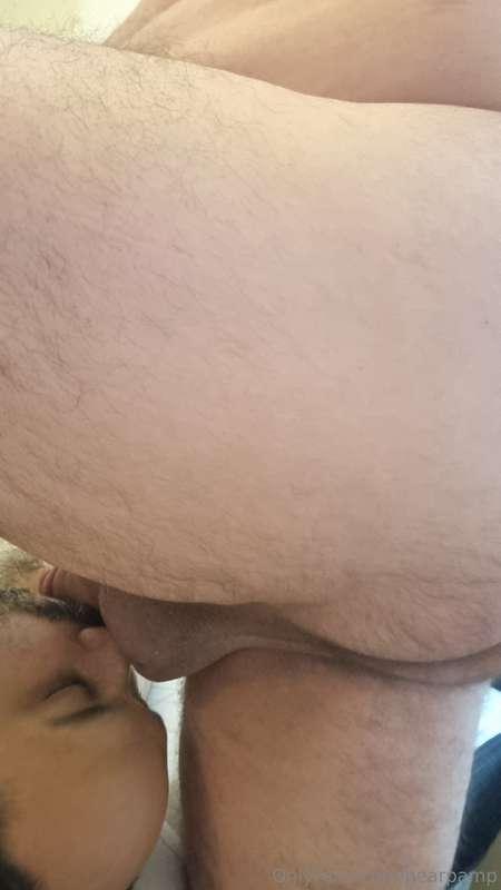 bearpamp image #3