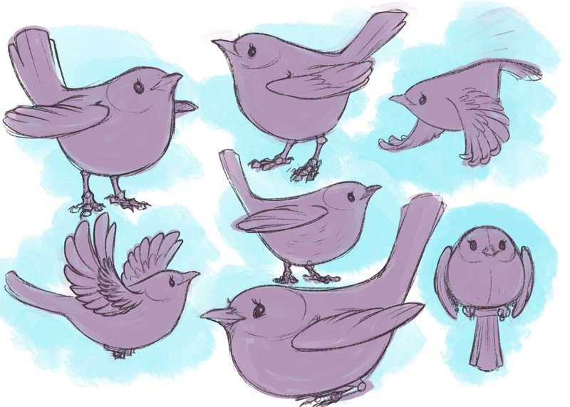 Fairy Wren