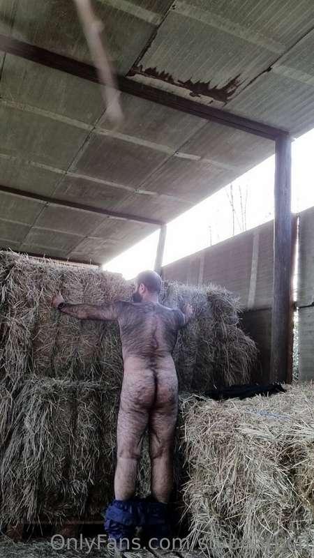 Así te espero en el pajal