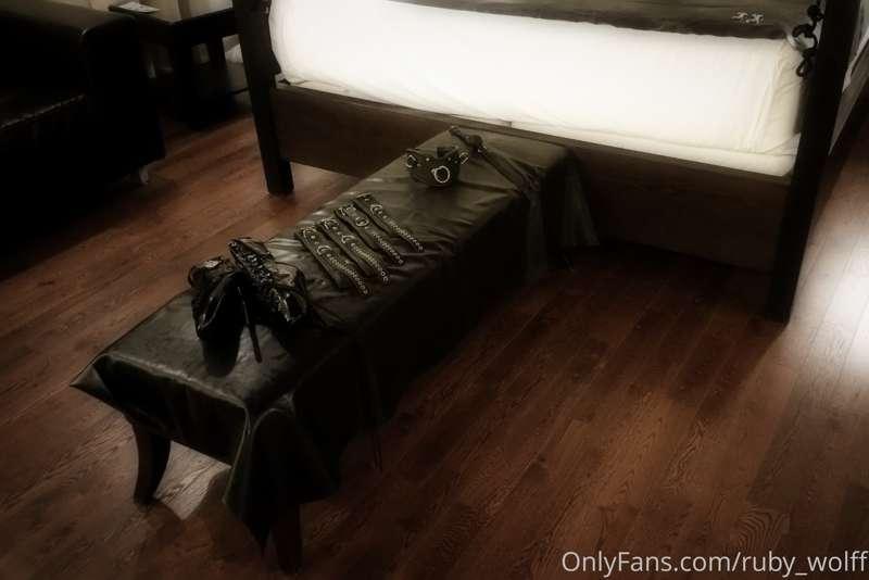 Shoes that need training and toys for restraining.