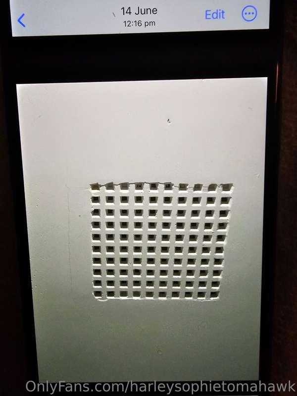 harleysophietomahawk image #3