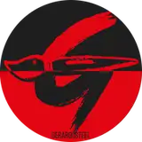 gerardosteel