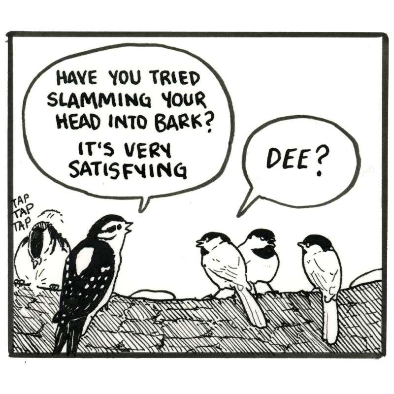 [29/31]