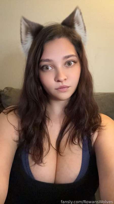 DM
