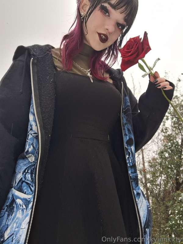 kyanikitty image #1
